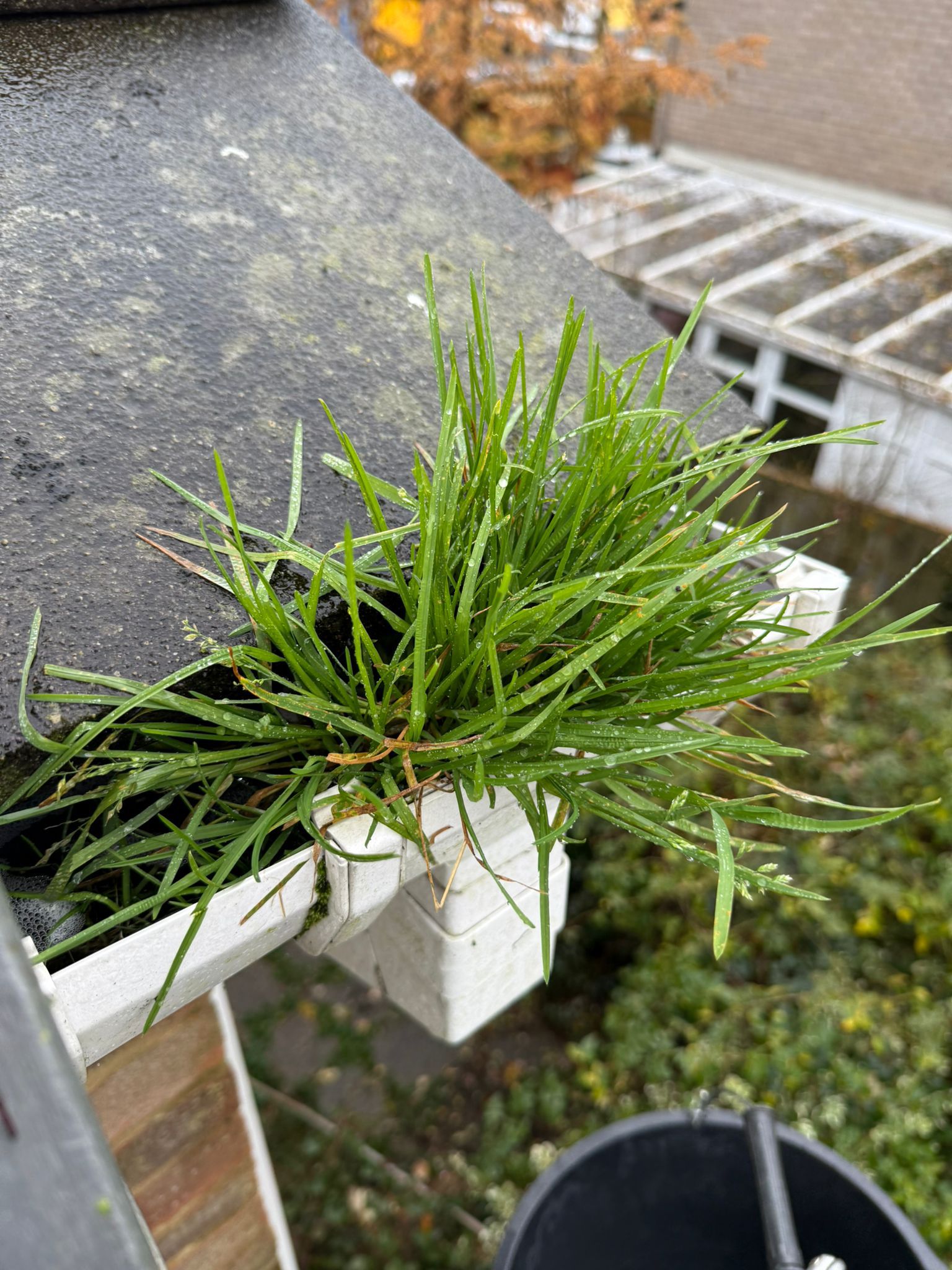 Blocked gutter downpipe in Fleet